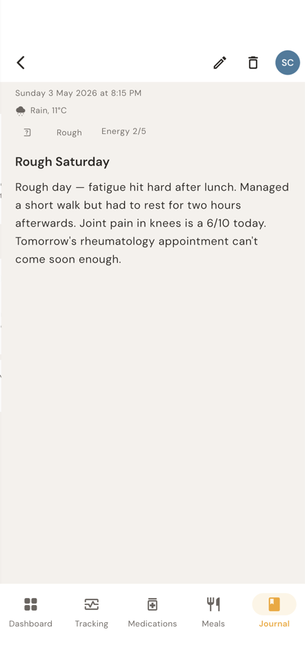 Journal entry detail showing weather, mood, and energy level alongside the day's notes